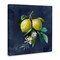Stupell Industries Lemon Branches on Blue Canvas Wall Art Design by Danhui Nai